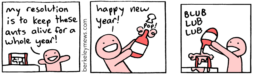 New Years Resolution